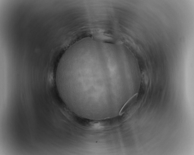 X0000094210564200711091239