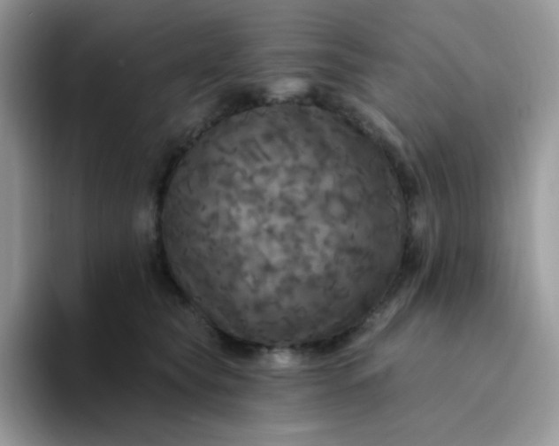 X0000094210565200711091239