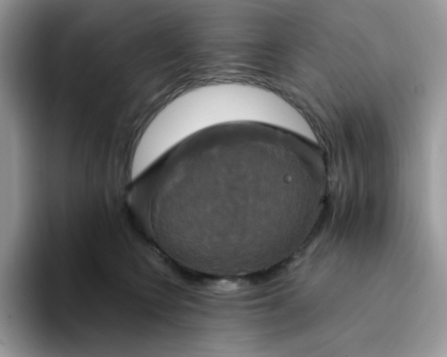 X0000094210566200711091240