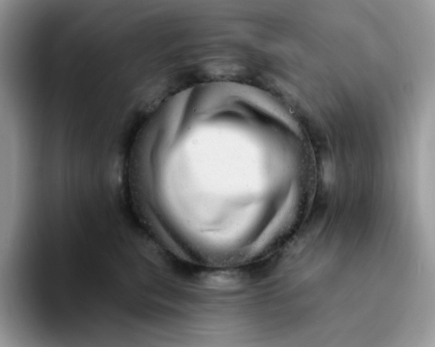 X0000094210567200711091240