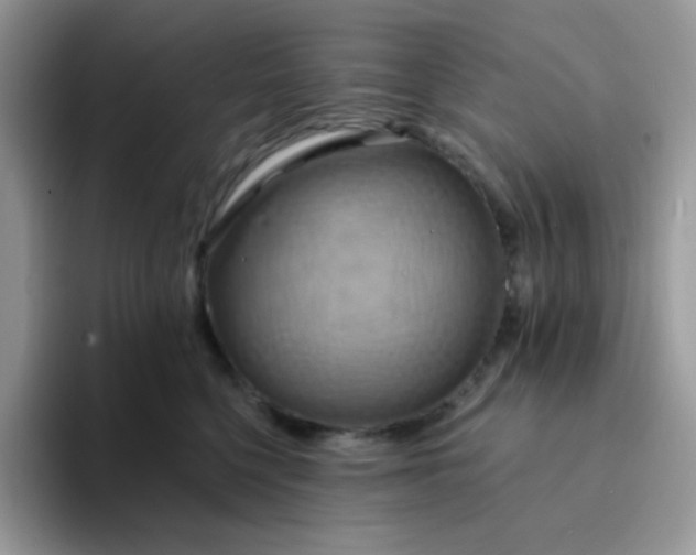 X0000094210568200711091240