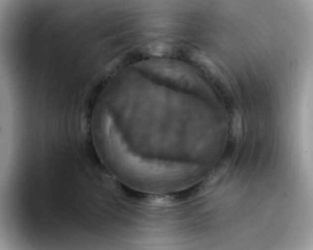 X0000094210569200711091240