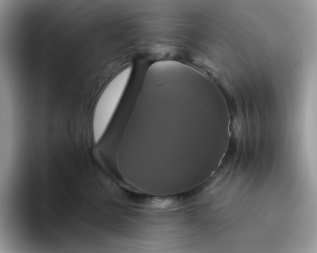 X0000094210570200711091240