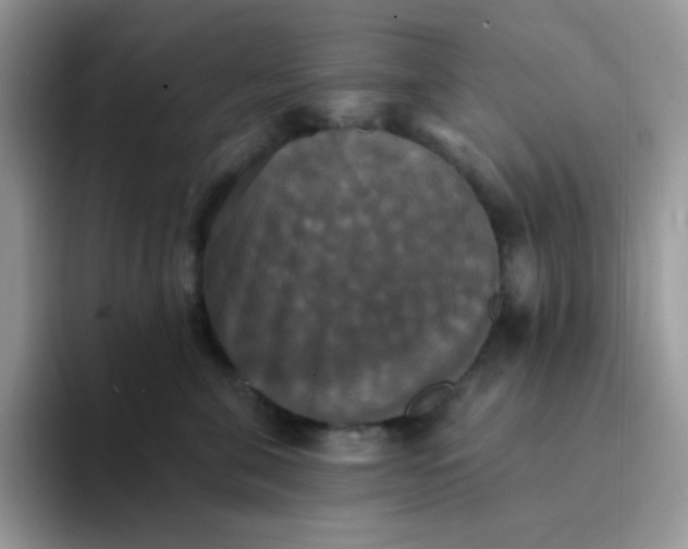 X0000094210571200711091240