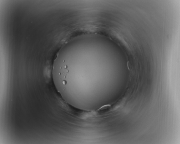 X0000094210576200711091240