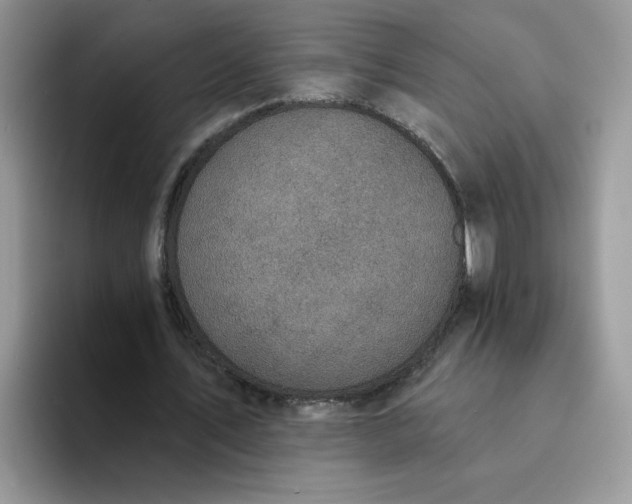 X0000094210579200711091239