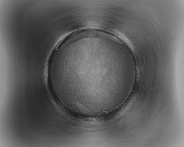 X0000094210580200711091239