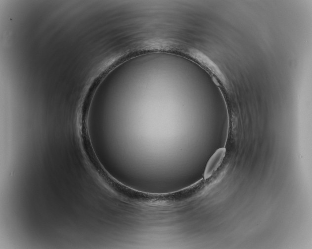 X0000094210581200711091239