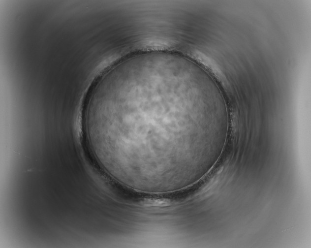 X0000094210582200711091239