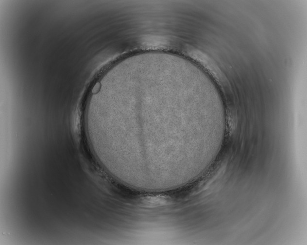 X0000094210583200711091239