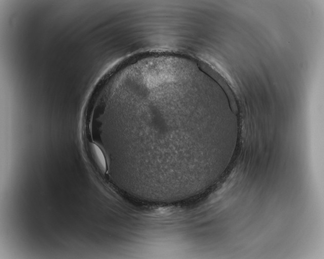 X0000094210584200711091239