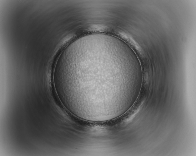 X0000094210585200711091239
