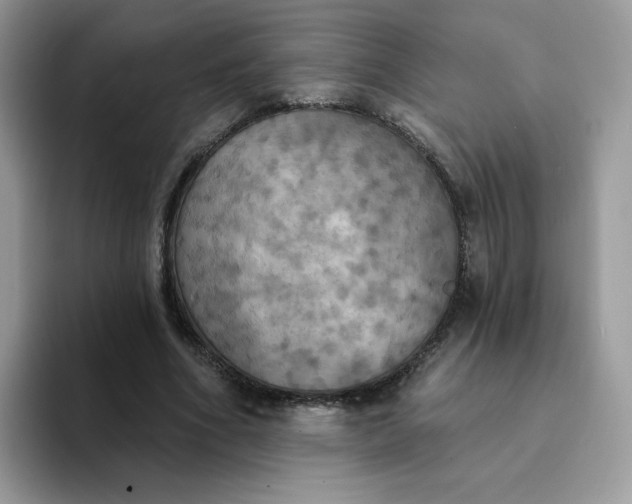 X0000094210586200711091239