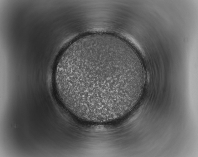 X0000094210588200711091239