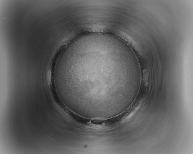 X0000094210589200711091239
