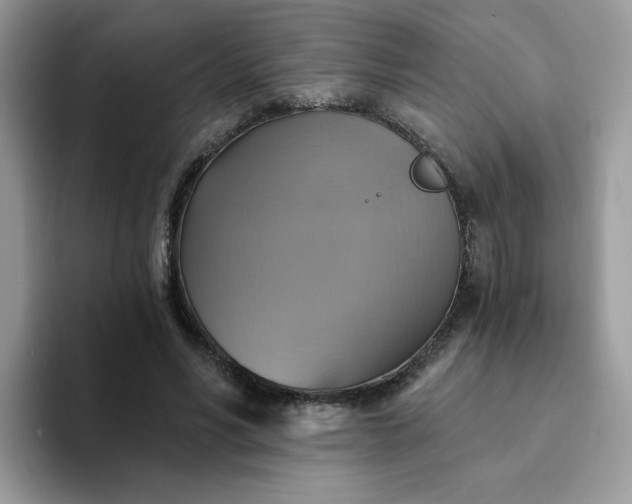 X0000094210590200711091239