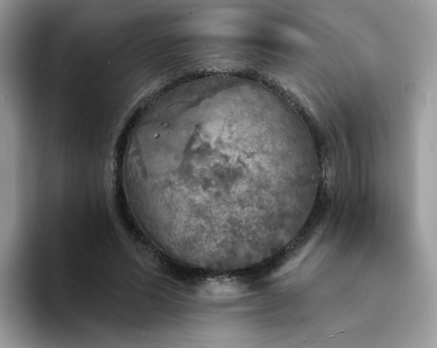 X0000094210591200711091239