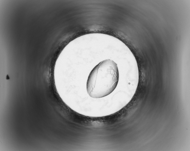 X0000094210592200711091239