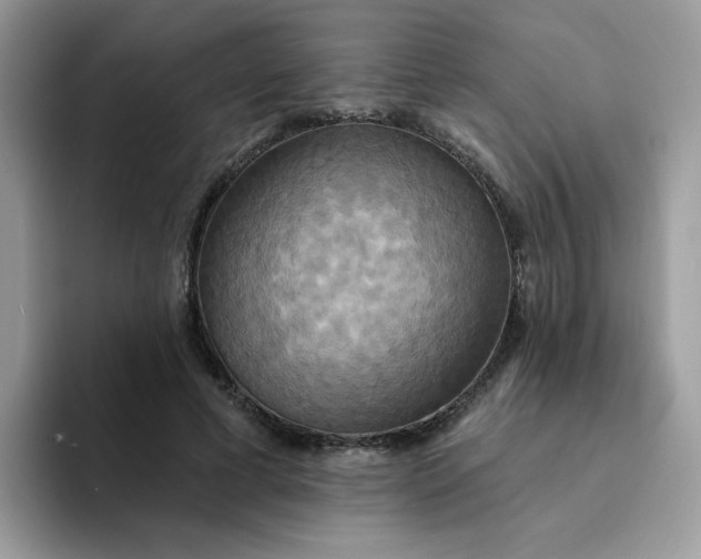 X0000094210593200711091239