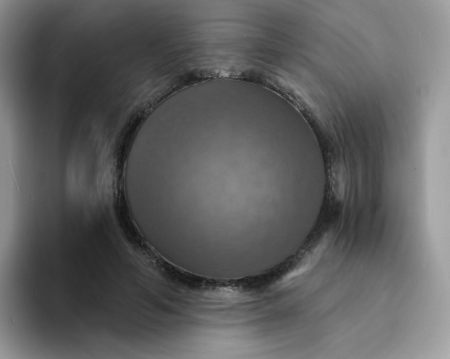 X0000094210594200711091239