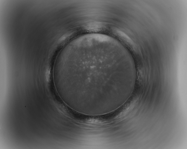 X0000094210596200711091239