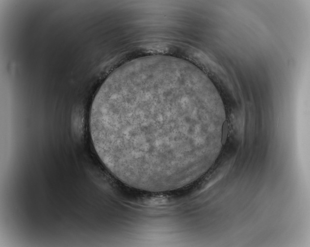 X0000094210600200711091239