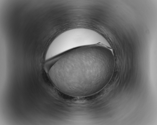 X0000094210601200711091239