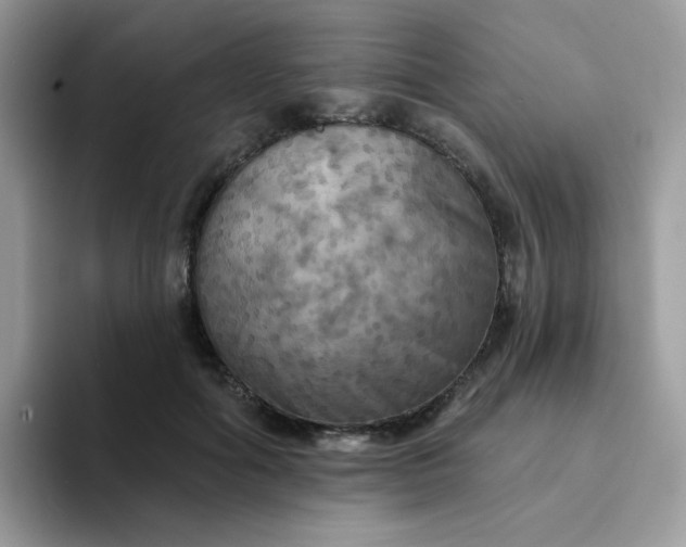 X0000094210602200711091239