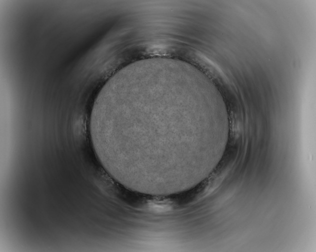 X0000094210603200711091239