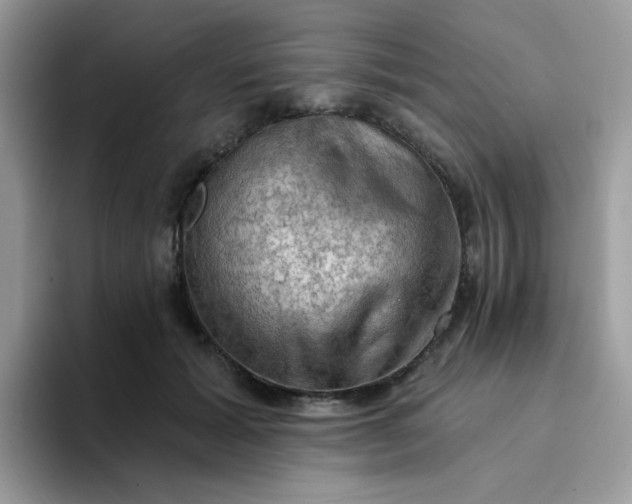 X0000094210605200711091239