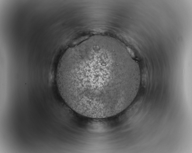 X0000094210608200711091239