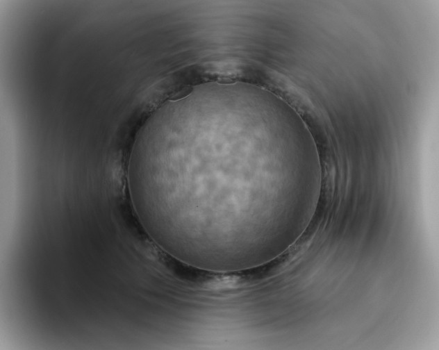 X0000094210609200711091239