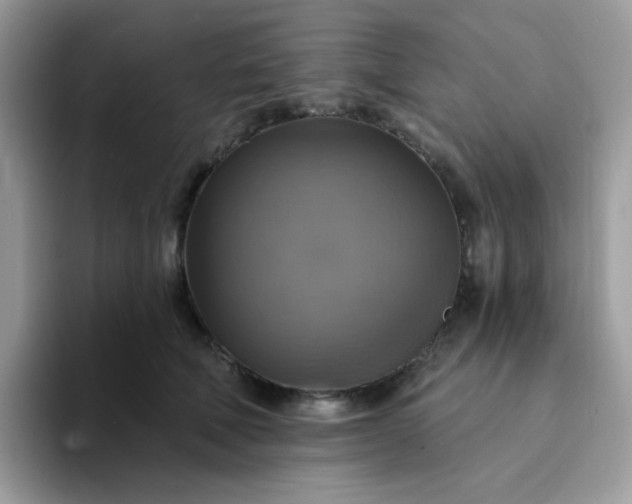 X0000094210610200711091239