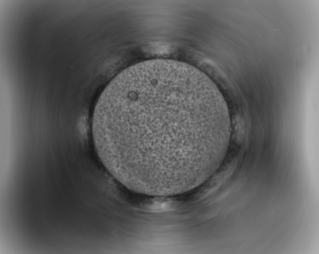 X0000094210612200711091239