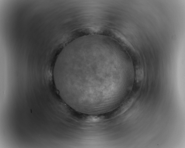 X0000094210613200711091239