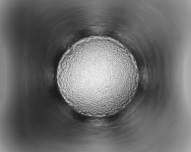 X0000094210615200711091238