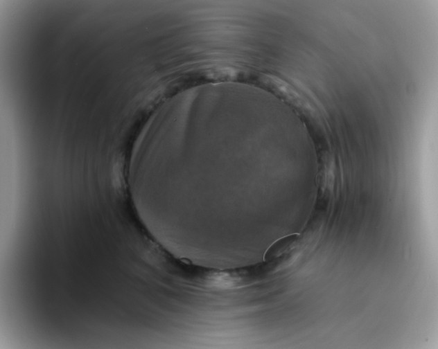 X0000094210616200711091238