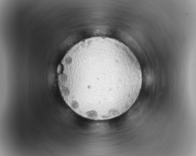 X0000094210619200711091238