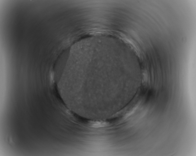 X0000094210621200711091238