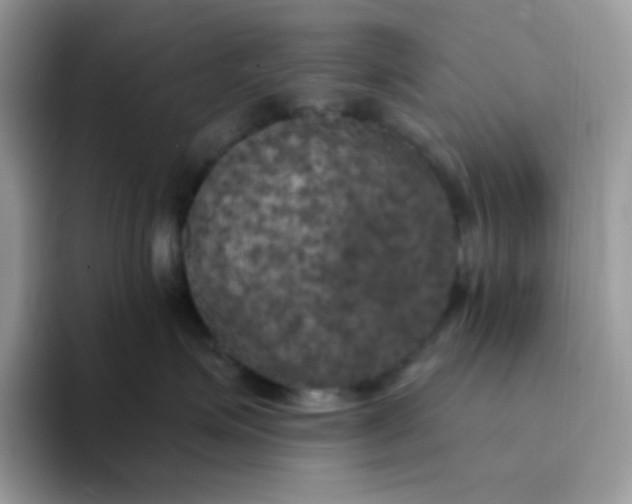 X0000094210623200711091238