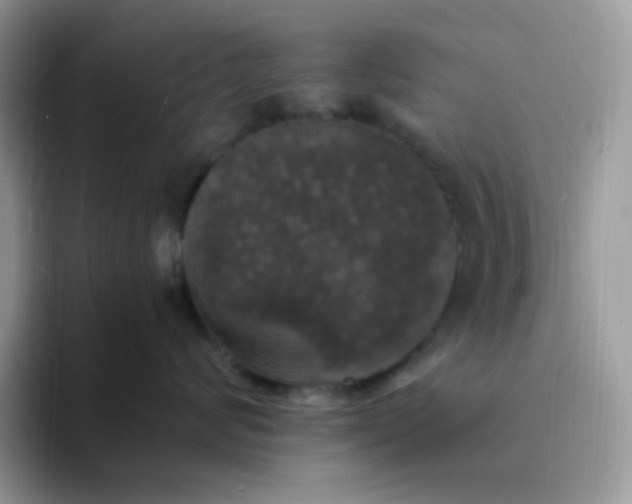 X0000094210624200711091238