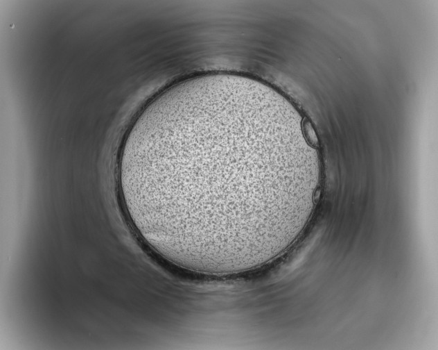 X0000094210625200711091238