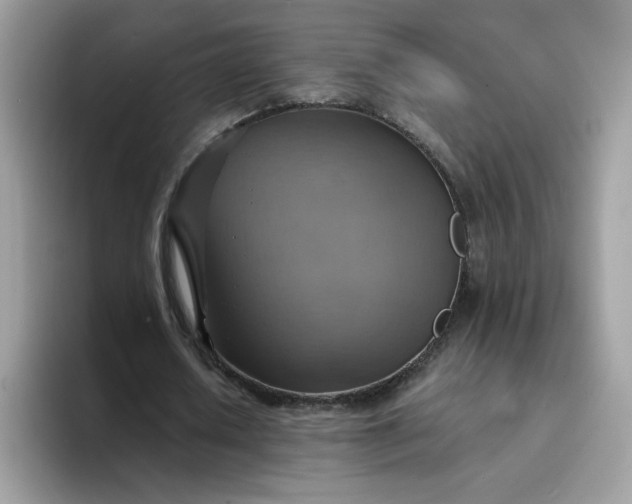 X0000094210626200711091238