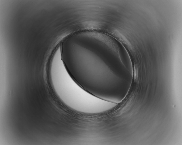 X0000094210627200711091238