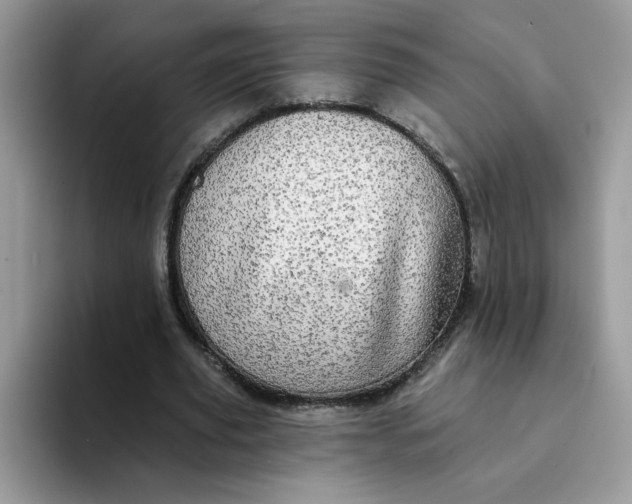 X0000094210629200711091238