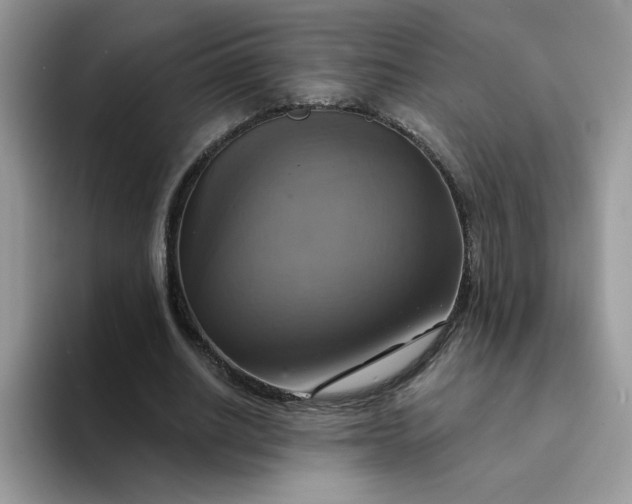 X0000094210630200711091238