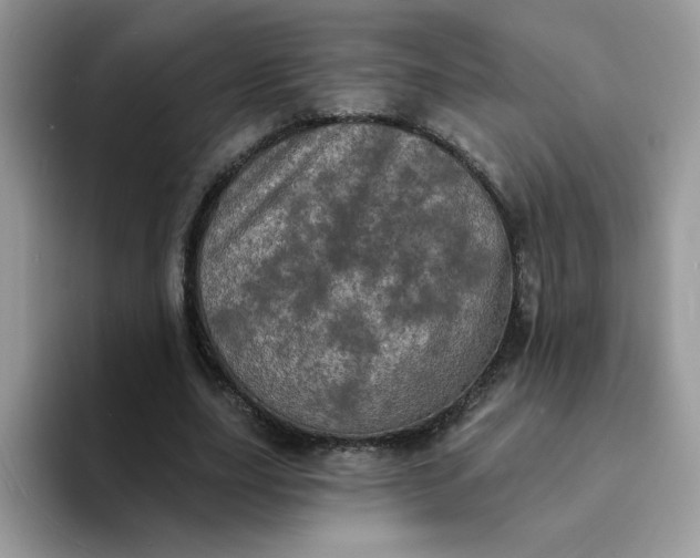 X0000094210631200711091238