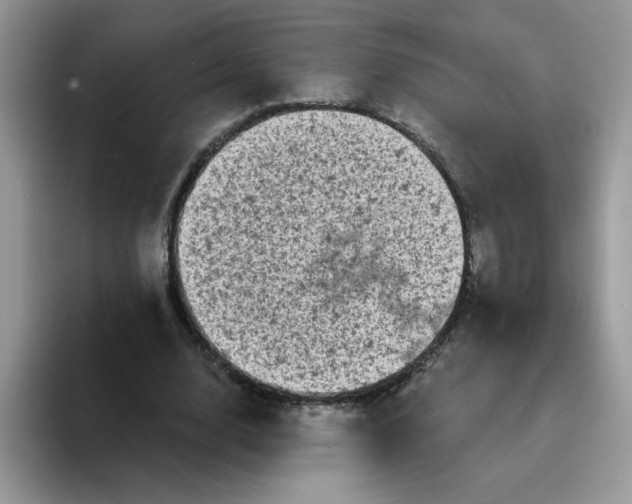 X0000094210632200711091238