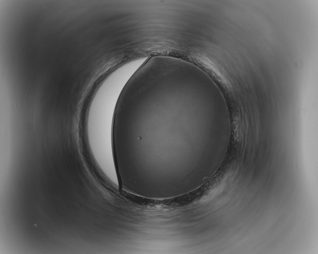 X0000094210634200711091238