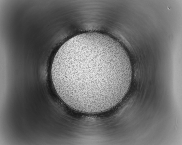 X0000094210635200711091238
